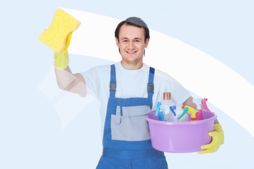 Eco-friendly cleaning practices at home