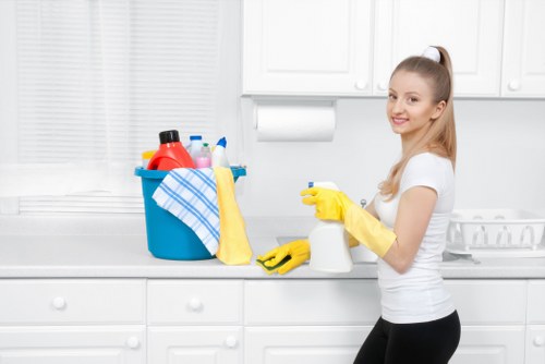 Professional cleaning services in action