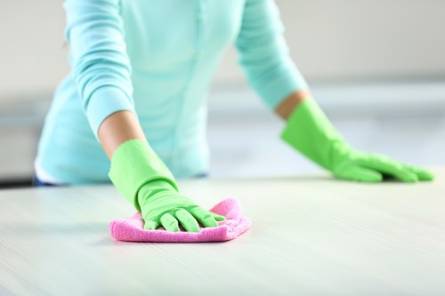 Structured cleaning checklist for a tidy home