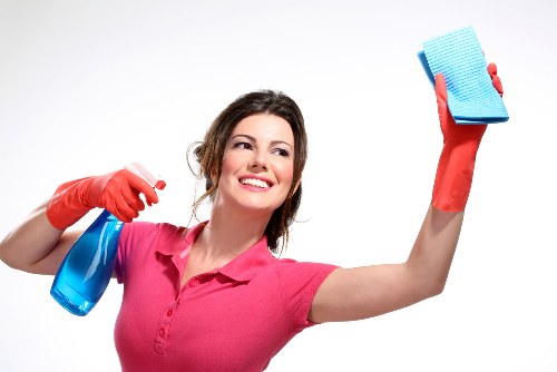 Eco-friendly cleaning products arranged for use