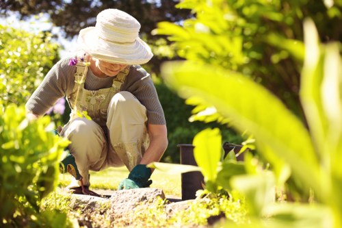 Tips for maintaining clean upholstery at home