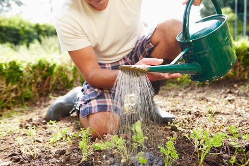 Compare DIY and professional upholstery cleaning